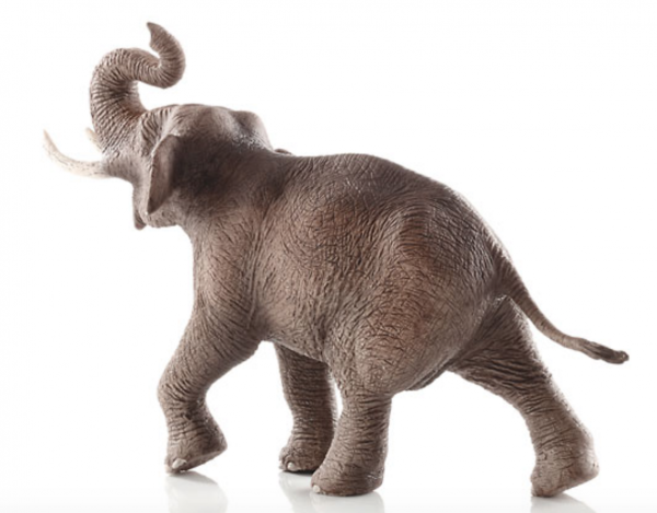 ELEFANTENBULLE - ASIATISCH